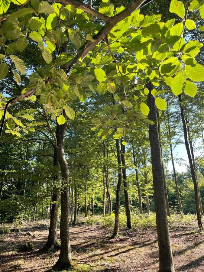Naturglamping Kristianstad Luaran gambar